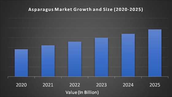 Asparagus Market